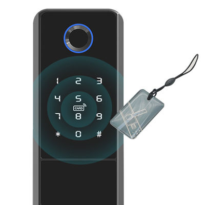 CE FCC Sertifikası ile Anahtarsız Biyometrik Parmak İzi Tanıma Tuya Akıllı Kilit